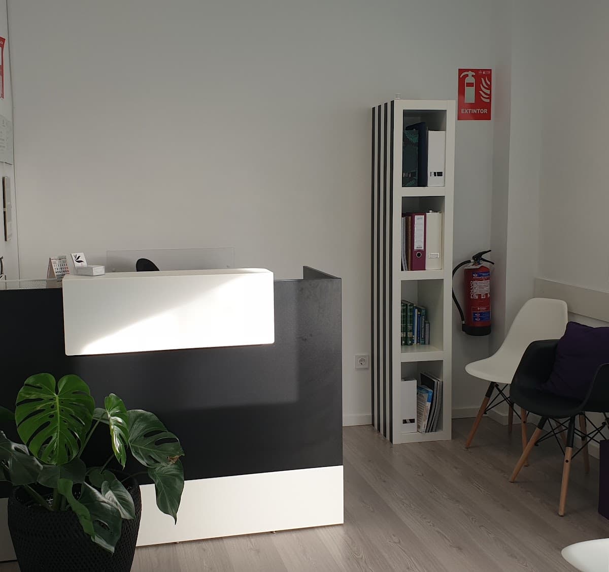 Recepción de Fisioterapia Los Fresnos